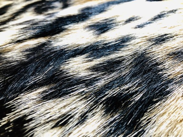Goatskin Hairshirt - out of stock - Image 6