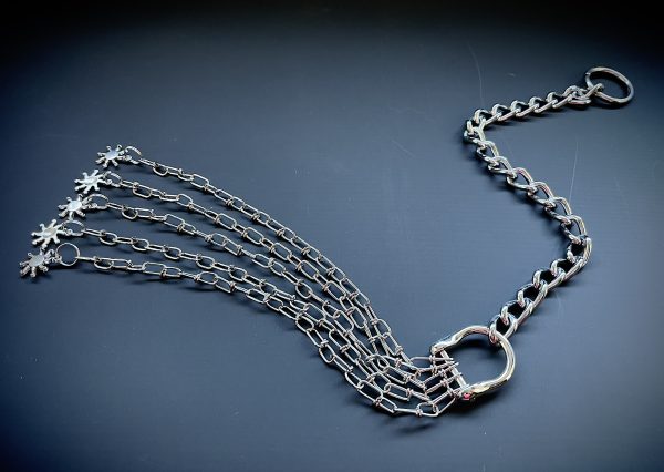 Chain Discipline - Image 2